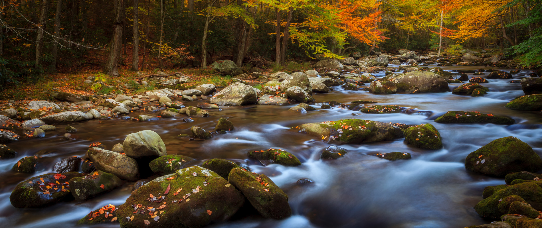 Ashe County Real Estate High Country Properties